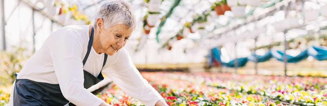 Woman tends to a bed of flowers while wearing an apron. 